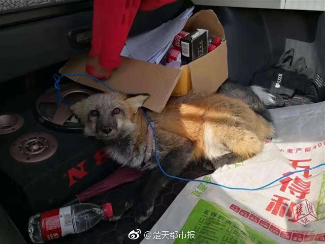 爱游戏