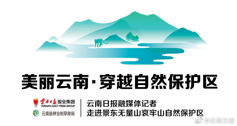 爱游戏截图