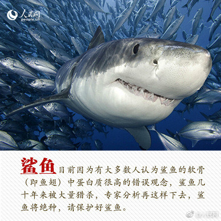 bsports网页版截图