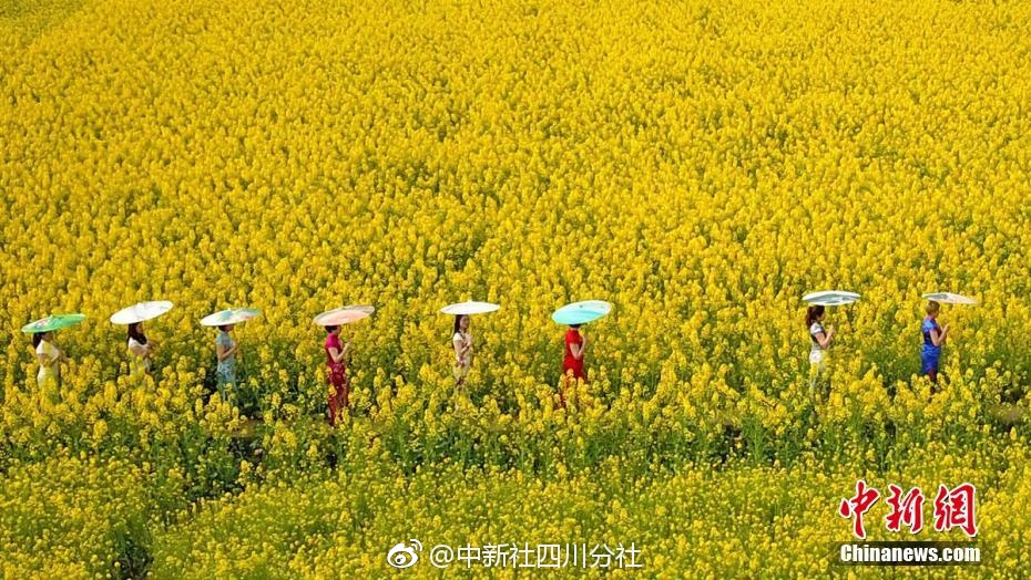 爱游戏app截图