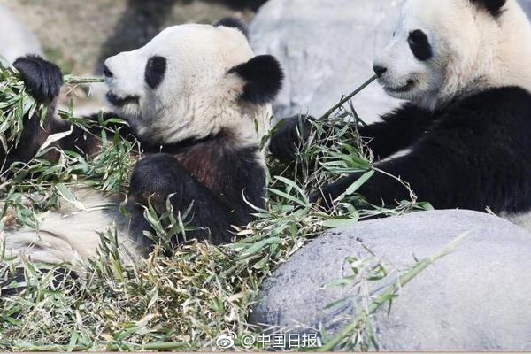 爱游戏app截图