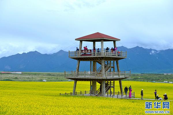 爱游戏截图
