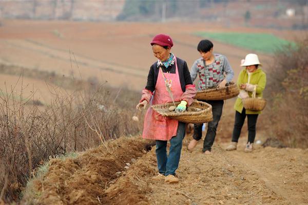 爱游戏app