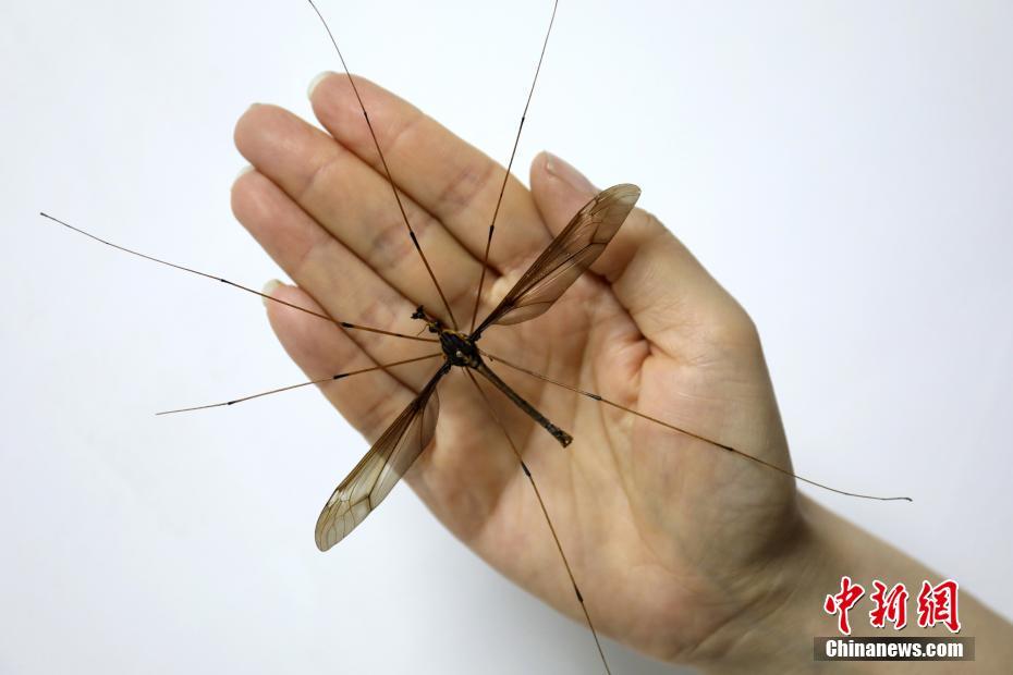 爱游戏截图